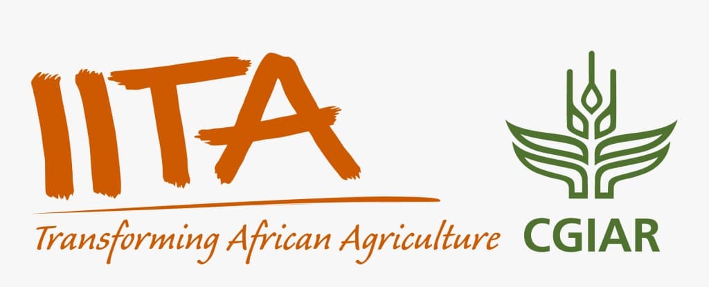 IITA Logo